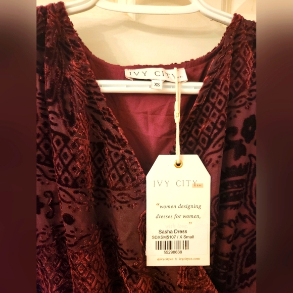 Ivy City Sasha Burnout Velvet Dress NWT - Picture 7 of 8